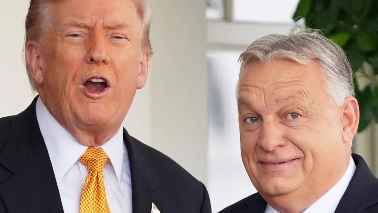 Trump betont bei Treffen immer sein gutes Verhältnis zu Orban. (Archivbild) (Foto: Evan Vucci/AP/dpa)