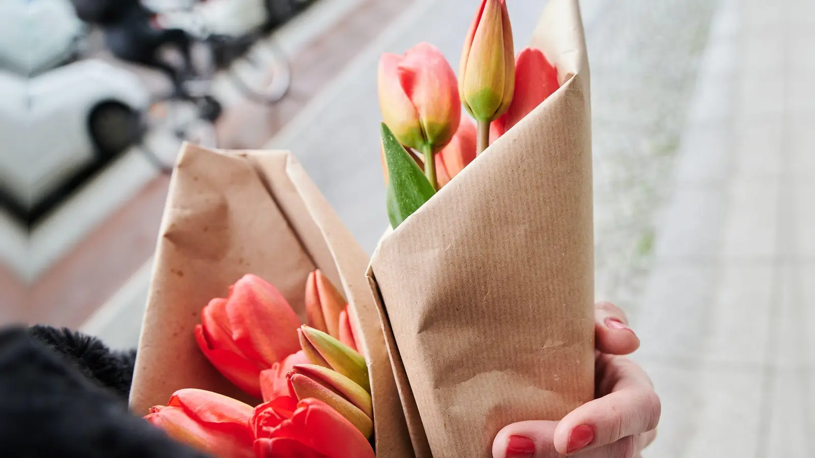 Nicht ideal, aber im Februar in der Regel die etwas nachhaltigere Alternative zu Rosen: Tulpen haben meist einen kürzeren Reiseweg hinter sich. (Foto: Annette Riedl/dpa/dpa-tmn)