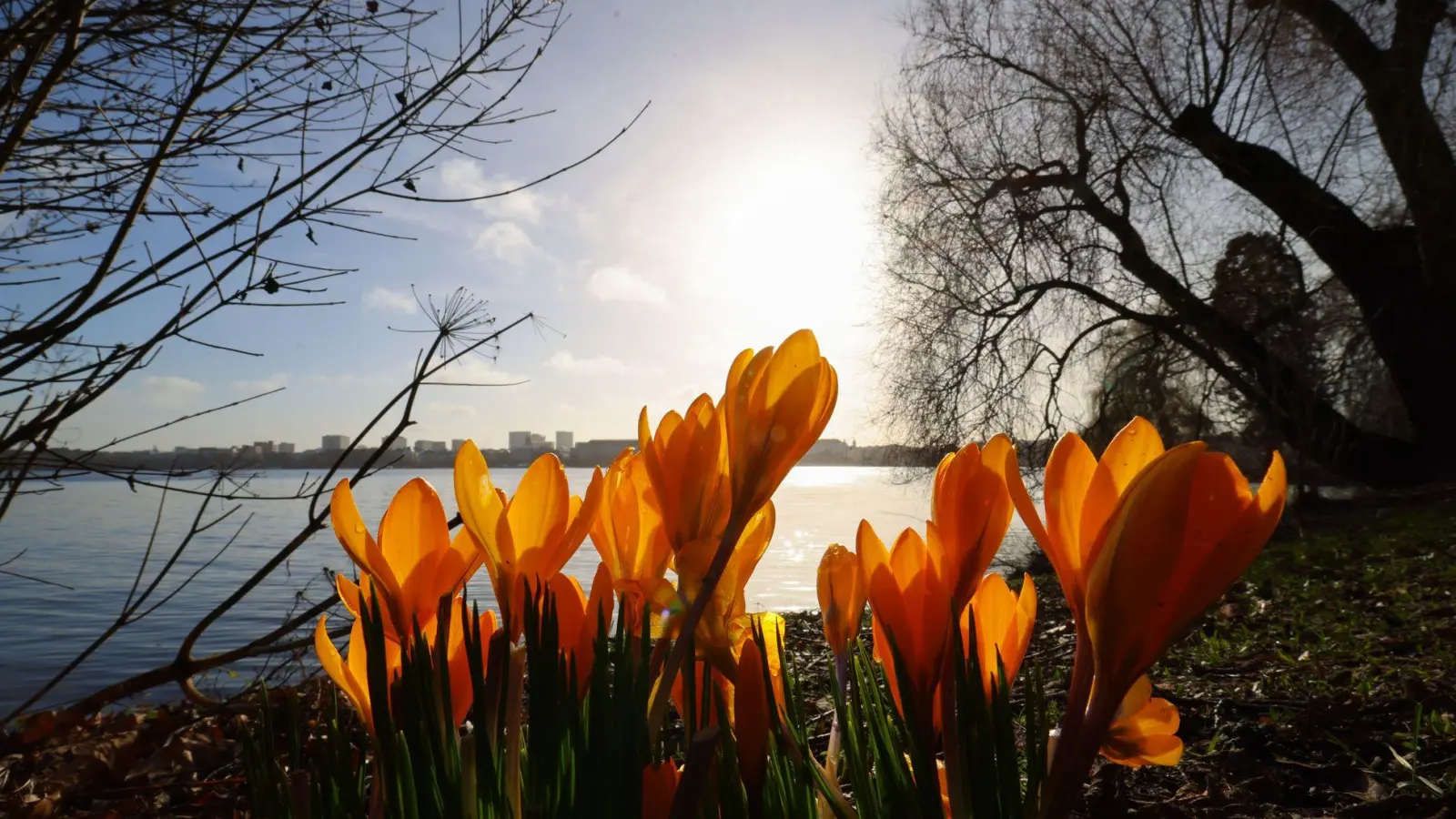 In der nächsten Woche wird es wieder wärmer und sonniger. (Foto: Christian Charisius/dpa)