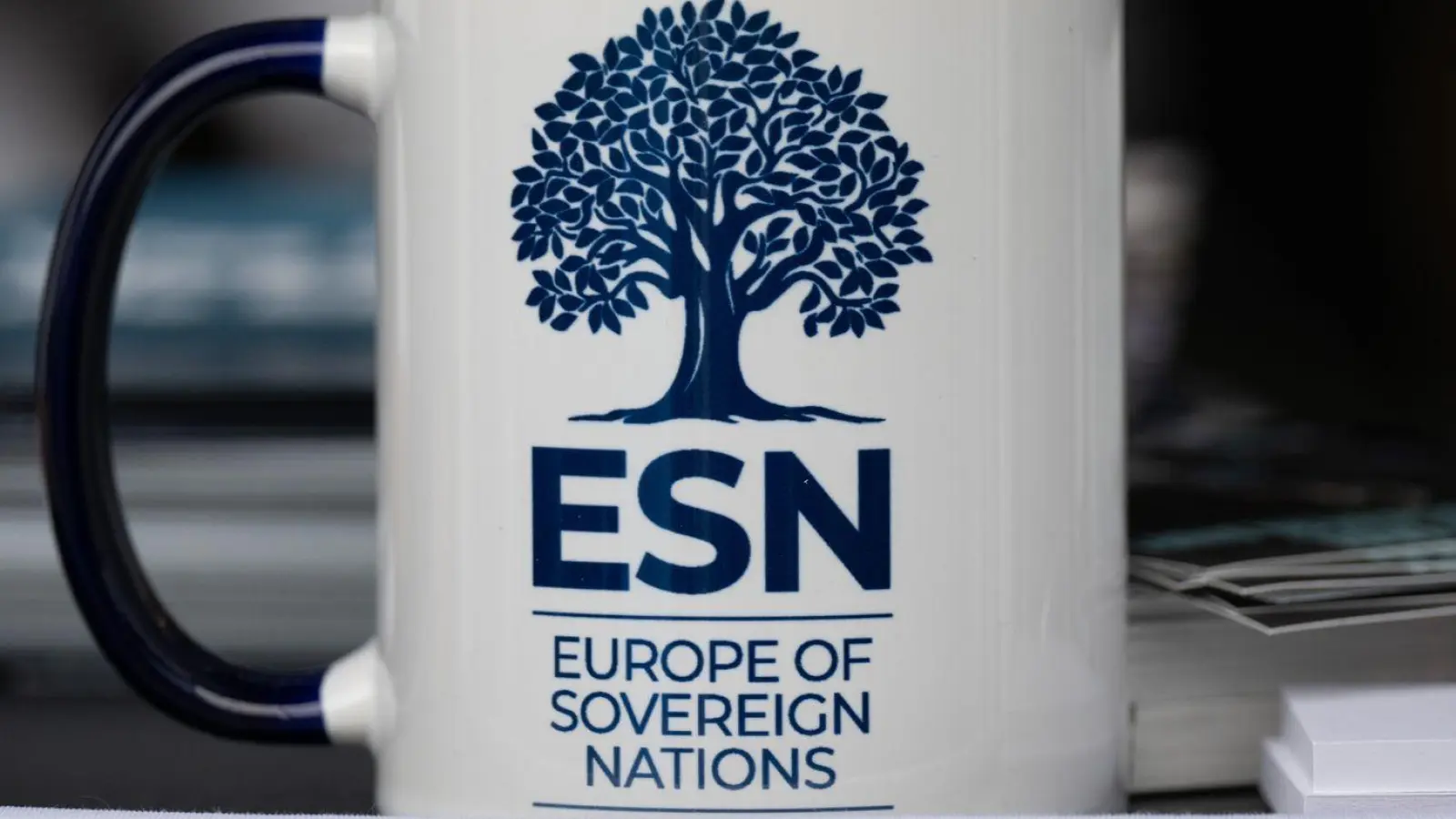 Die ESN-Partei ist als europäische politische Partei registriert. (Archivbild) (Foto: Sebastian Kahnert/dpa)