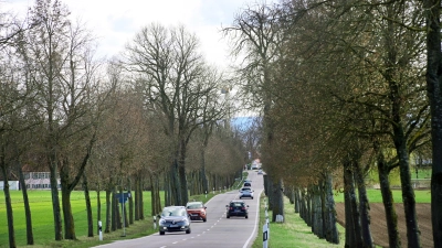 Eine herrschaftliche Allee, angelegt noch in der Markgrafenzeit, führt von der B13 zum Kreisel hinter dem Ortseingang von Triesdorf. Möglicherweise werden hier bald Leitplanken stehen, um Autofahrer zu schützen. (Foto: Jim Albright)