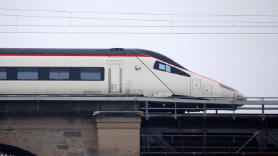 Für rund 220 Fahrgäste endet die Reise vorzeitig. (Symbolbild) (Foto: Karl-Josef Hildenbrand/dpa)