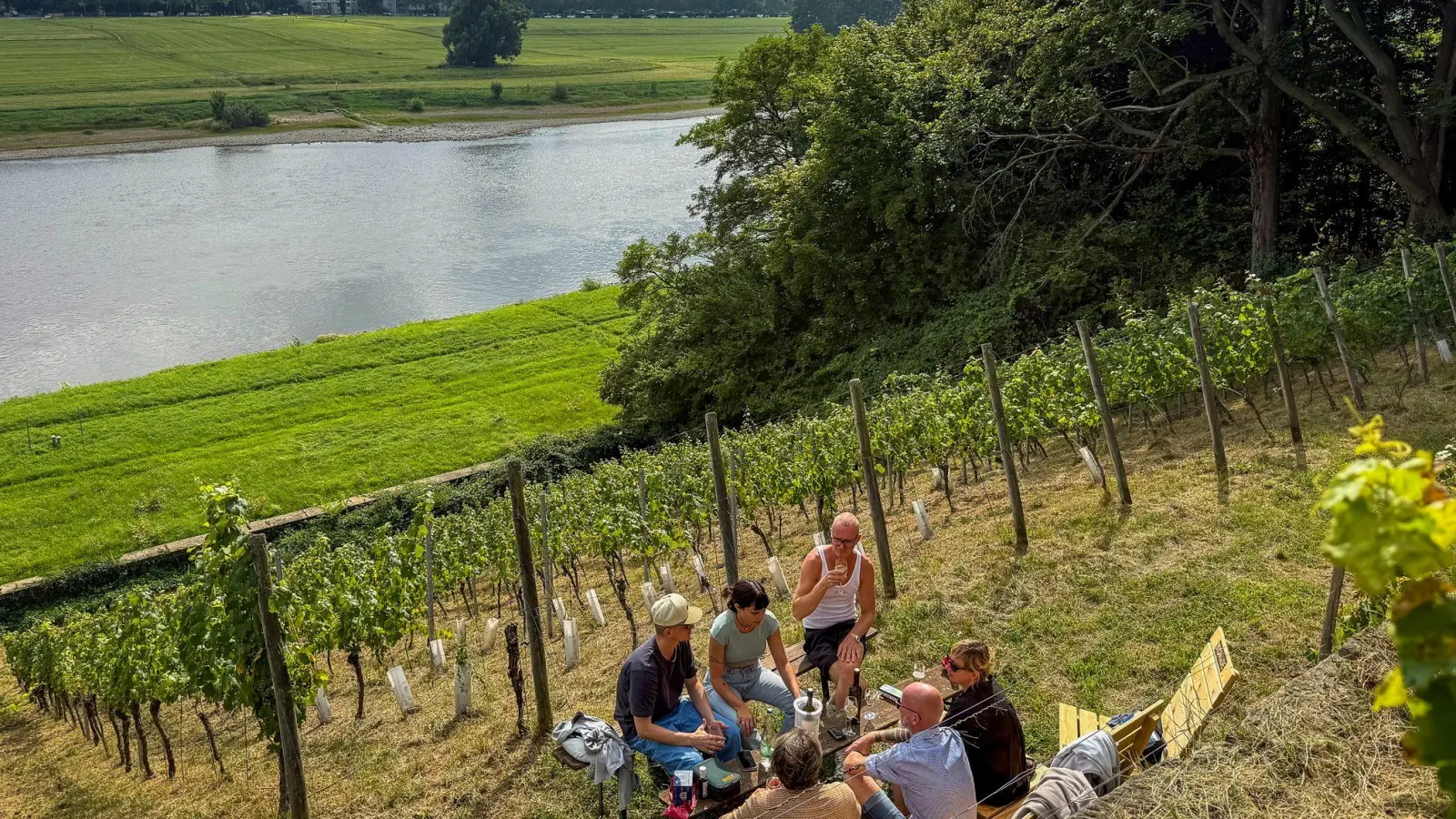 Genuss zwischen Reben: Picknick am Weinberg bei Dresden. (Foto: Ralf Johnen/dpa-tmn)