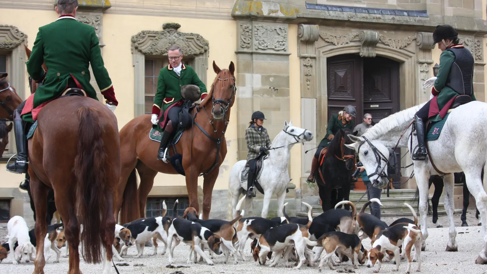 Die Hunde bereiten sich auf ihre Aufgabe vor, einer künstlich ausgelegten Spur zu folgen. (Foto: Susanne Landgraf)
