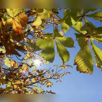 In den nächsten Tagen kann in Bayern noch einmal die Sonne genossen werden. (Symbolbild) (Foto: Thomas Warnack/dpa)