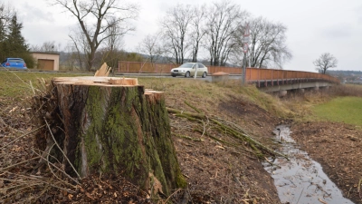 Das Staatliche Bauamt Ansbach hat mit den Vorarbeiten für die neue Aischbrücke begonnen, nahe dem ehemaligen Gutenstettener Bahnhof wurden Bäume gefällt. (Foto: Johannes Zimmermann)