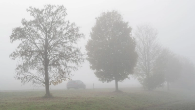 Das Wetter wird zwar zum Wochenende milder, aber es bleibt vielerorts glatt. (Symbolbild) (Foto: Stefan Puchner/dpa)