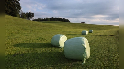 Mit sommerlichen Temperaturen in Bayern geht es ins Wochenende.  (Foto: Karl-Josef Hildenbrand/dpa)