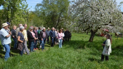 Katharina Busch leitete eine der beiden Führungen beim diesjährigen Streuobstwiesentag am Kappelbuck bei Beyerberg. (Foto: Peter Tippl)