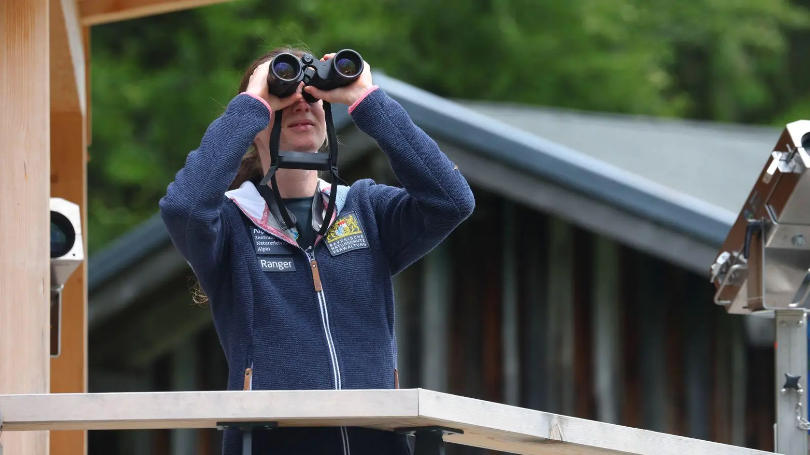 Rangerin Daniela Tritscher war bislang für das Naturschutzzentrum Alpinium in den Allgäuer Bergen unterwegs. Nun wird das Modellprojekt beendet. (Archivbild) (Foto: Karl-Josef Hildenbrand/dpa)
