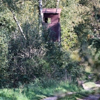 Ein Jäger hatte das fragliche Tier im Notzinger Moos durch eine Wärmebildkamera beobachtet. (Archivbild) (Foto: Peter Kneffel/dpa)