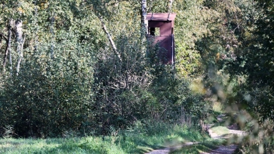 Ein Jäger hatte das fragliche Tier im Notzinger Moos durch eine Wärmebildkamera beobachtet. (Archivbild) (Foto: Peter Kneffel/dpa)