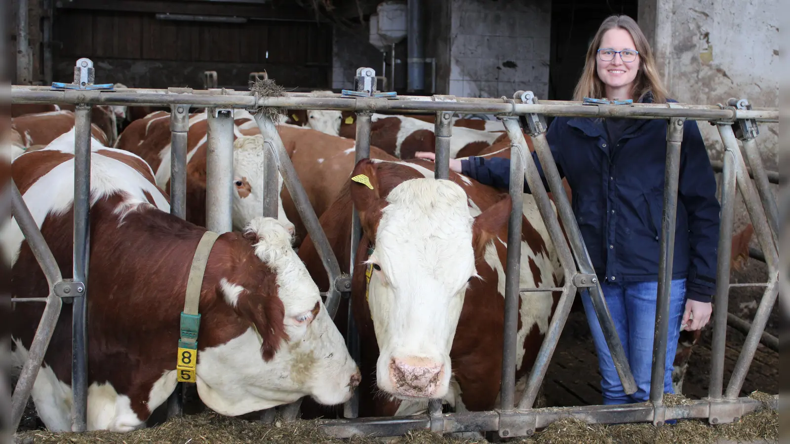 Barbara Weber würde Großküchen in der Region gerne mit Milch ihrer Kühe beliefern (Foto: Kristina Schmidl)