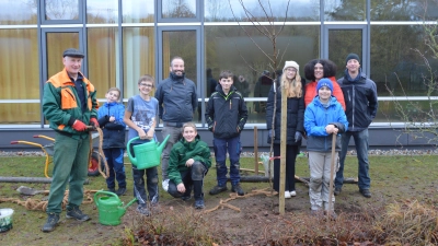 Schülerinnen und Schüler der Realschule pflanzten unter fachlicher Anleitung die gespendeten Bäume. (Foto: Bernhard Schneider)