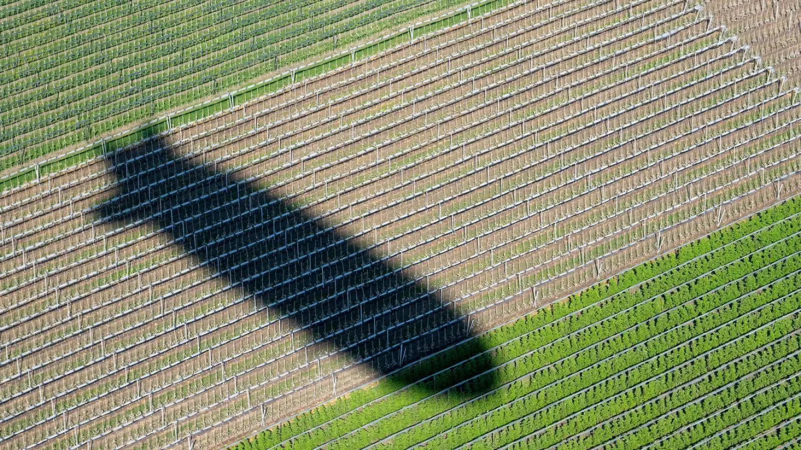 Vor 125 Jahren hob der erste Zeppelin ab. (Symbolbild) (Foto: Stefan Puchner/dpa)
