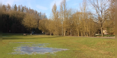 Größer wird die Eisfläche auf der Eiswiese diesen Winter wohl nicht mehr werden. Sie bleibt grün – und Schlittschuhlaufen ist nicht möglich. (Foto: Clarissa Kleinschrot)