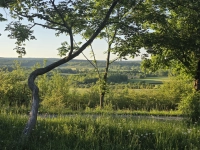 Landwirtschaftliche Schönheit - gesehen in Bad Windsheim (Foto: Erika Dietrich-Kämpf)