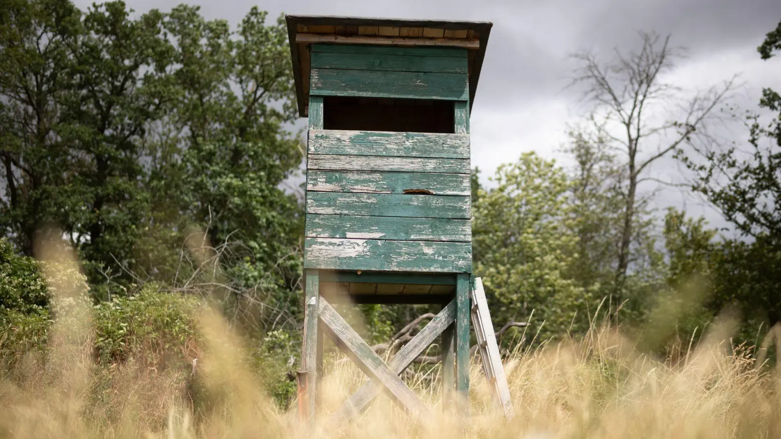Das bayerische Jagdrecht wird reformiert. (Archivbild) (Foto: Tim Würz/dpa)