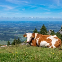 Wer in Bayern einen Ausflug plant und etwa im Voralpenland wandern will, dürfte am Sonntag das schönere Wetter erwischen. (Symbolbild) (Foto: Peter Kneffel/dpa)