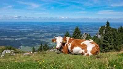 Wer in Bayern einen Ausflug plant und etwa im Voralpenland wandern will, dürfte am Sonntag das schönere Wetter erwischen. (Symbolbild) (Foto: Peter Kneffel/dpa)