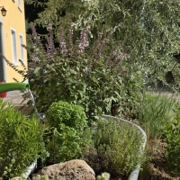Noch können in Dinkelsbühl und Feuchtwangen die Kundinnen und Kunden der Stadtwerke unbesorgt ihre Gärten gießen. Einen Aufruf zum Wassersparen haben die Wasserversorger noch nicht ausgegeben. (Foto: Markus Weinzierl)