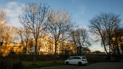 Rund um den Rezatprkplatz müssen Bäume weichen, gleichzeitig fanden sich in dem Bereich aber auch Lösungen für den Erhalt von Bäumen.  (Foto: Evi Lemberger)