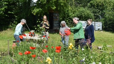 Helga Kudlich, Heike Kohl und Brigitte Tiefel (von links) sind im NeuStadtGarten aktiv. Josef Merrath und Veronika Polok schauten kürzlich auch mal wieder im Rahmen eines Pressetermins vorbei. (Foto: Ute Niephaus)