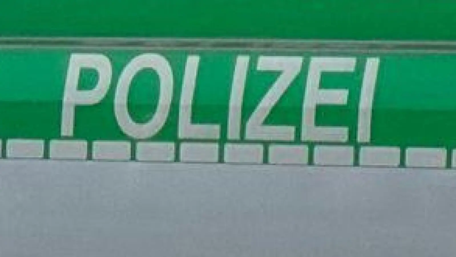 Nach den Übergriffen hatte die Polizei die Zahl der Streifen in dem betroffenen Gebiet deutlich erhöht. (Symbolbild) (Foto: Valentin Gensch/dpa)