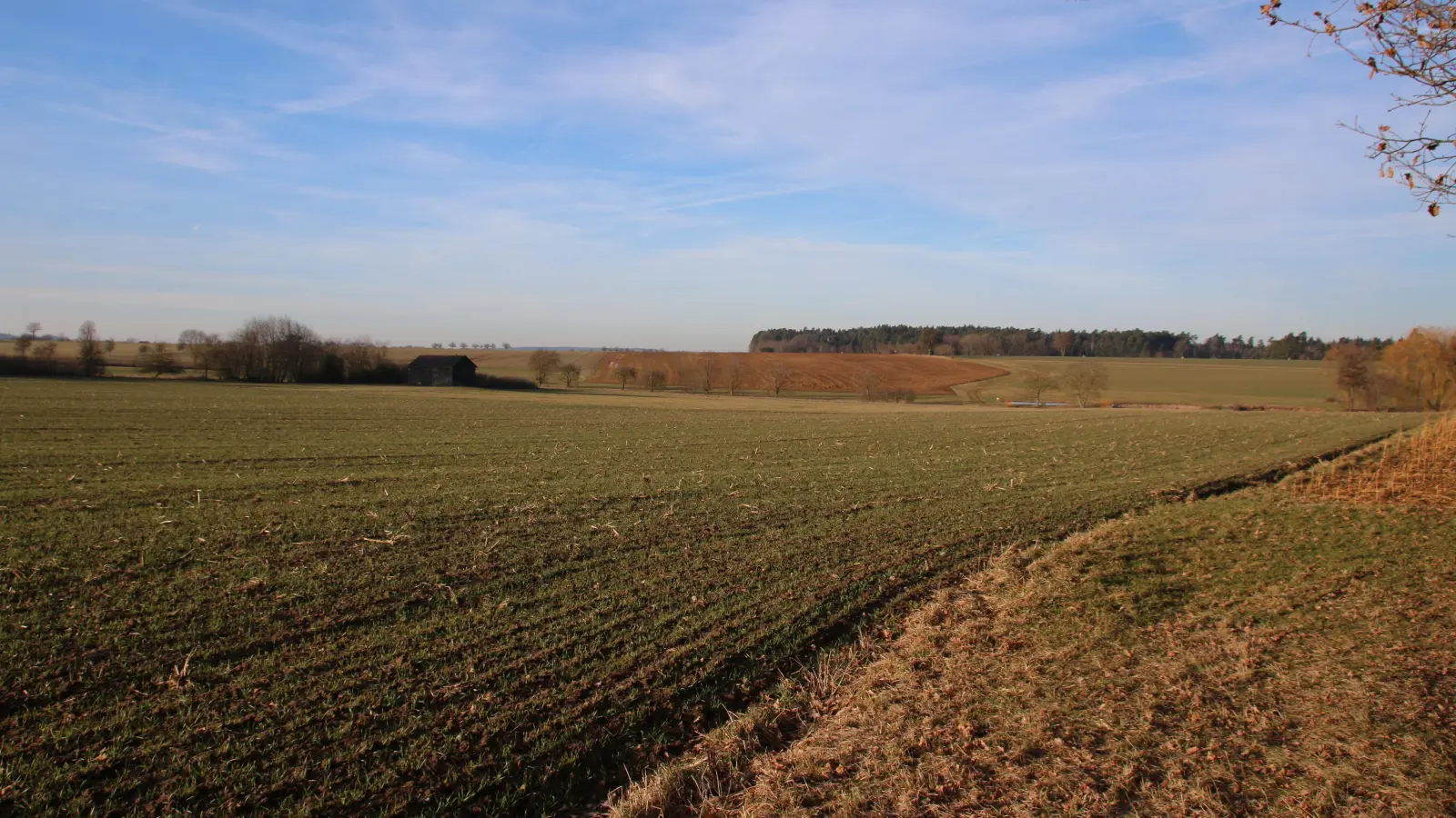 Zwischen Buch am Wald und Leutershausen sollen insgesamt fünf Windkraftanlagen entstehen. (Foto: Stefan Neidl)