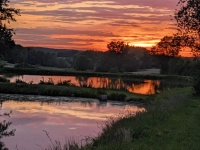 Bunte Weiherlandschaft - gesehen bei Gerhardshofen (Foto: Angelika Knauer)