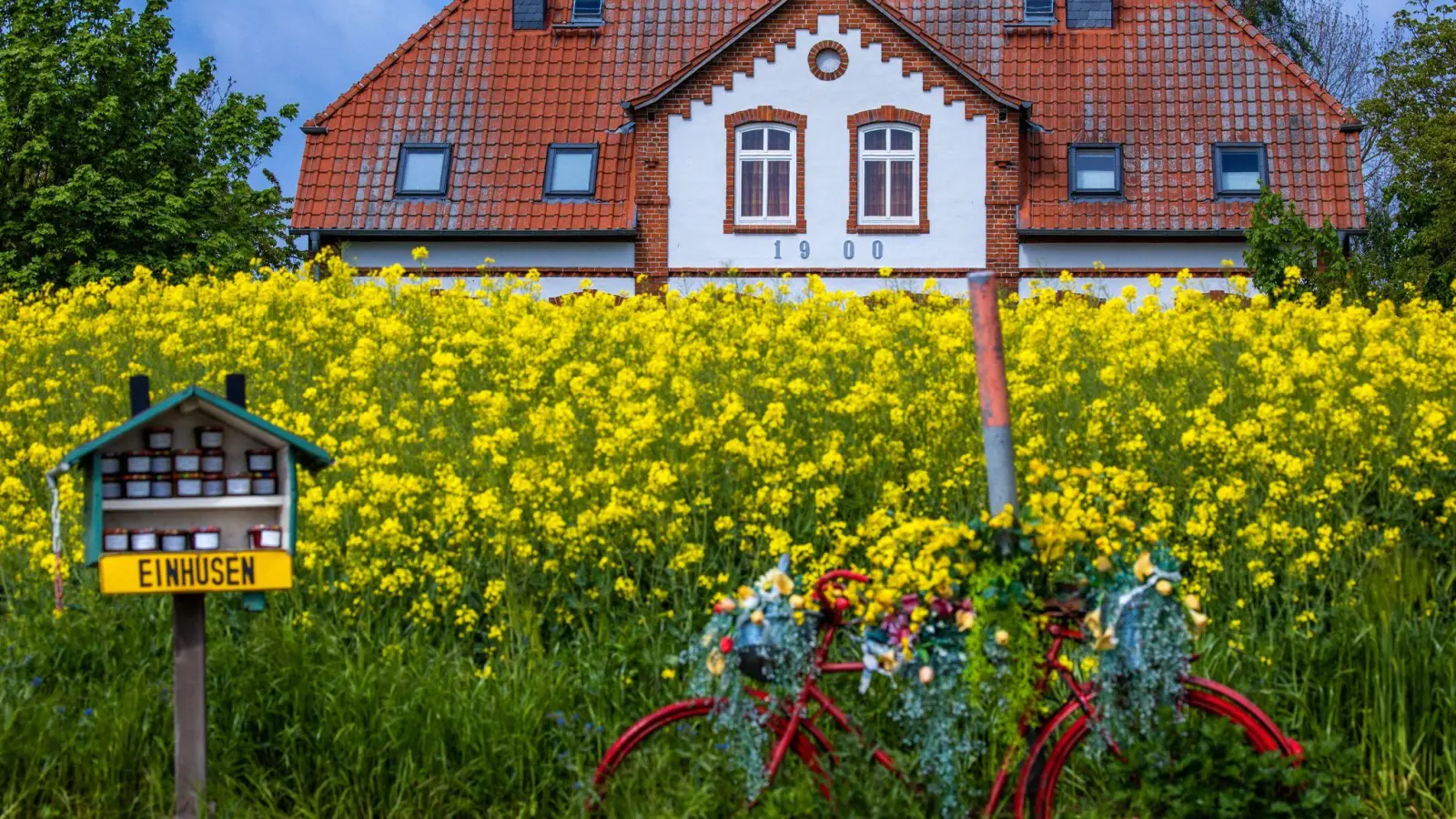Nummer sicher: Ferienhaus an der Ostsee. (Archivbild) (Foto: Jens Büttner/dpa)
