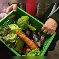 Die Blätter vom Salatkopf sind schon etwas welk, die Aubergine hat eingedrückte Stellen, der Brokkoli erste eher gelbe Röschen und die Möhrenspitze beginnt zu schrumpeln. Dennoch lässt sich daraus noch Leckeres zaubern.  (Foto: Matthias Balk/dpa/dpa-tmn)