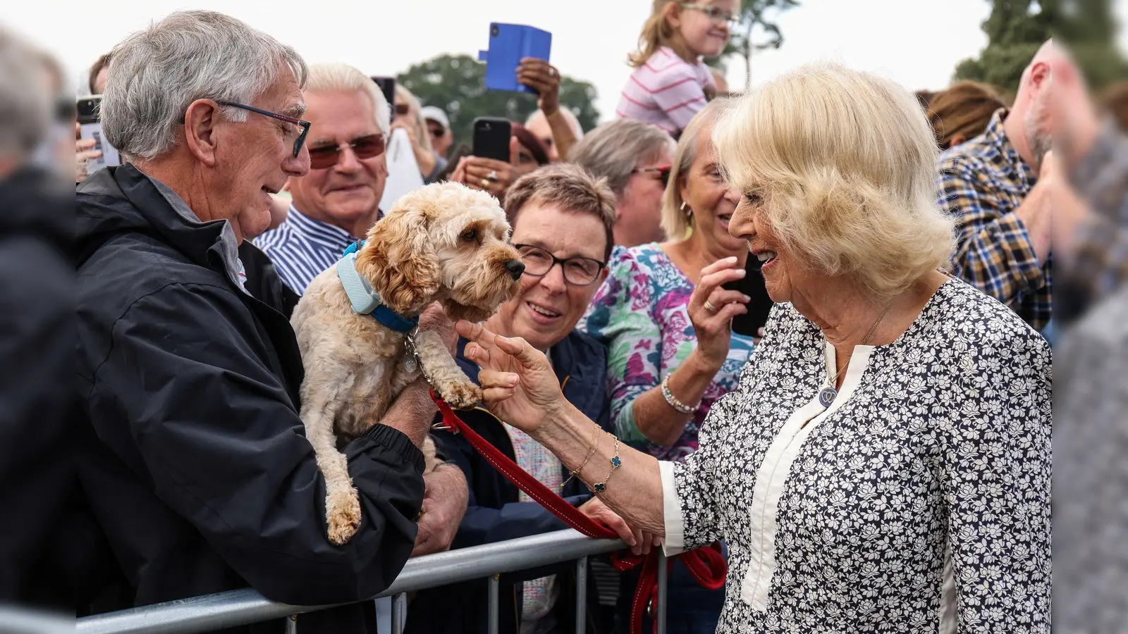 Königin Camilla begrüßt einen Hund und seinen Besitzer während eines Besuchs der Sandringham Flower Show in Sandringham House in Norfolk. (Foto: Chris Radburn/PA Wire/dpa)