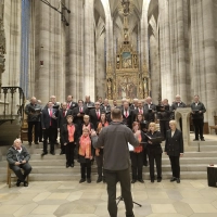 Die Concordia Dinkelsbühl und der Conrad-Paumann-Chor begeisterten ihr Publikum bei ihrem gemeinsamen Konzert im Münster St. Georg. (Foto: Julia Bergmeister)