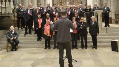 Die Concordia Dinkelsbühl und der Conrad-Paumann-Chor begeisterten ihr Publikum bei ihrem gemeinsamen Konzert im Münster St. Georg. (Foto: Julia Bergmeister)
