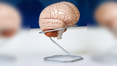 Neuroplastizität beim Windelwechsel: Die Geburt eines Kindes verändert nicht nur das Leben, sondern auch das Gehirn von Vätern. (Foto: Georg Wendt/dpa/dpa-tmn)