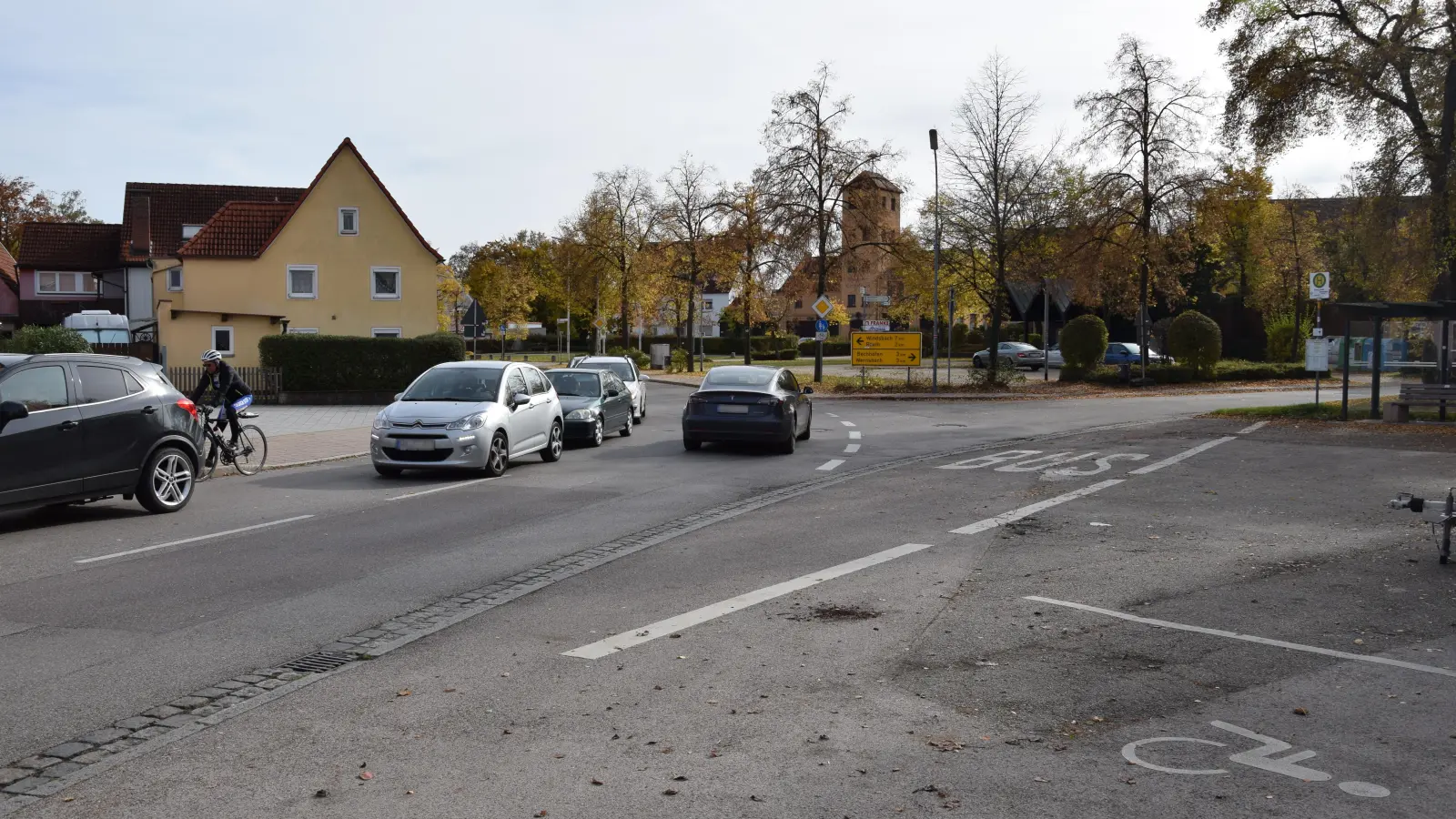 Hätte der Gemeinderat dem Vorschlag der Verwaltung zugestimmt, wären laut Christian Scheuerpflug zum Beispiel die Bäume am Sternplatz nicht von der Erklärung abgedeckt gewesen. (Archivfoto: Florian Schwab)