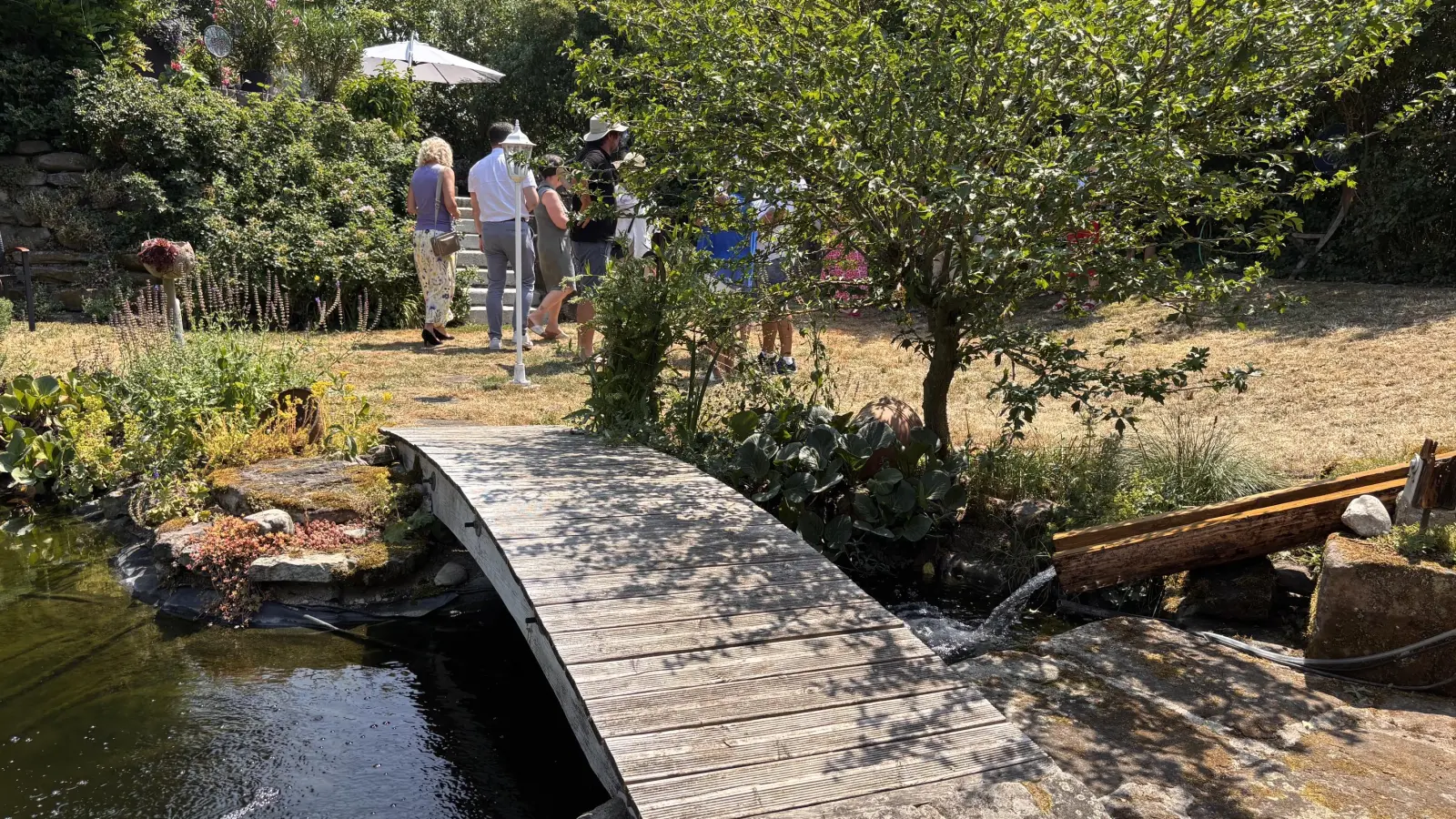 Ein Lieblingsplatz ist der Gartenteich im Garten von Gudrun Baum. (Foto: Nicole Gunkel)