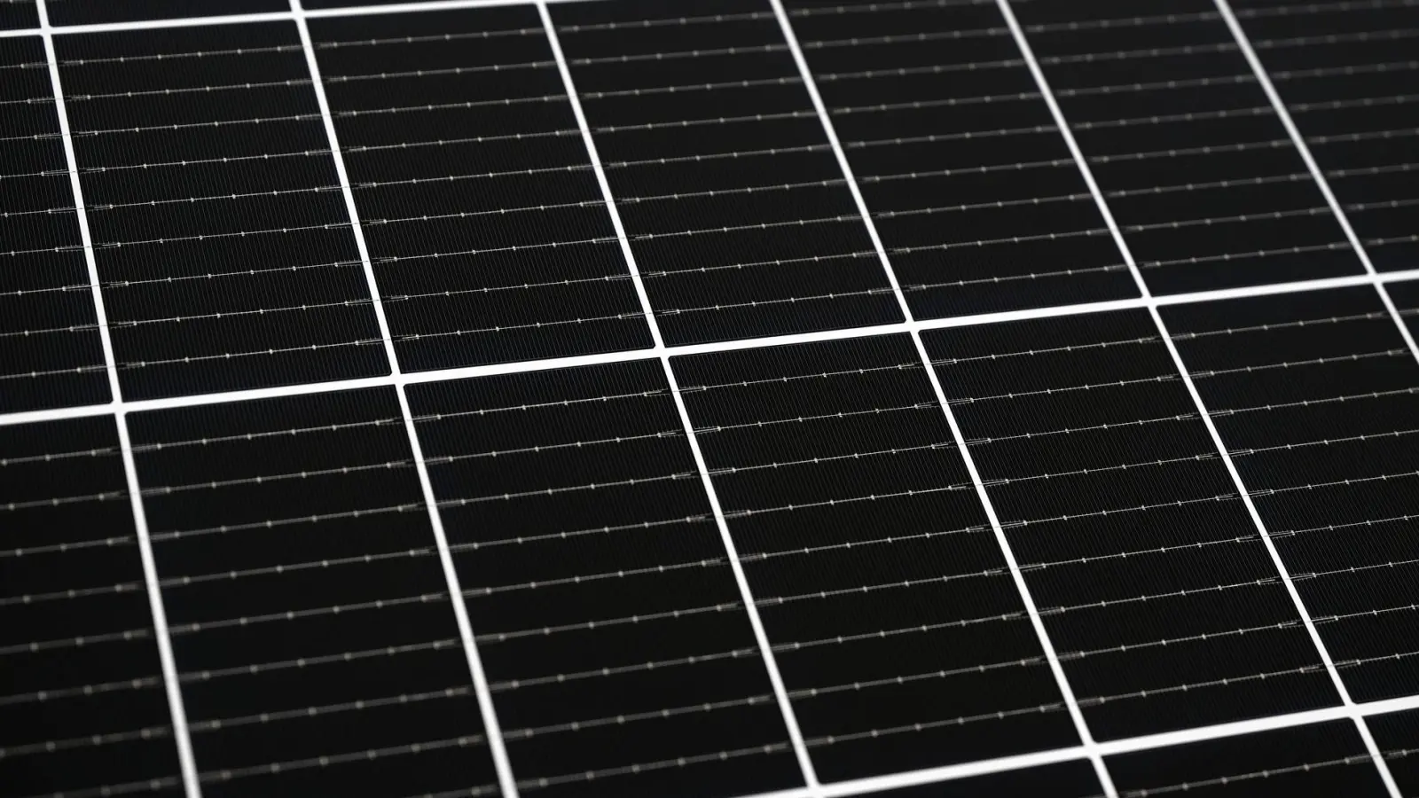 Die Entsorgung solcher Module ist sehr kostenintensiv. (Symbolbild) (Foto: Lilli Förter/dpa)