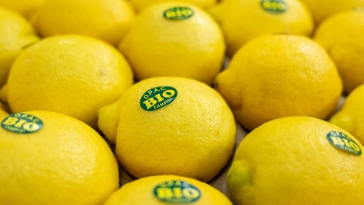 Wer auf Nummer sicher gehen möchte, wählt bei Zitronen die Bio-Variante, da im ökologischen Anbau sowohl chemische Pflanzenschutzmittel als auch konservierende Nachbehandlungen verboten sind. (Foto: Daniel Karmann/dpa)