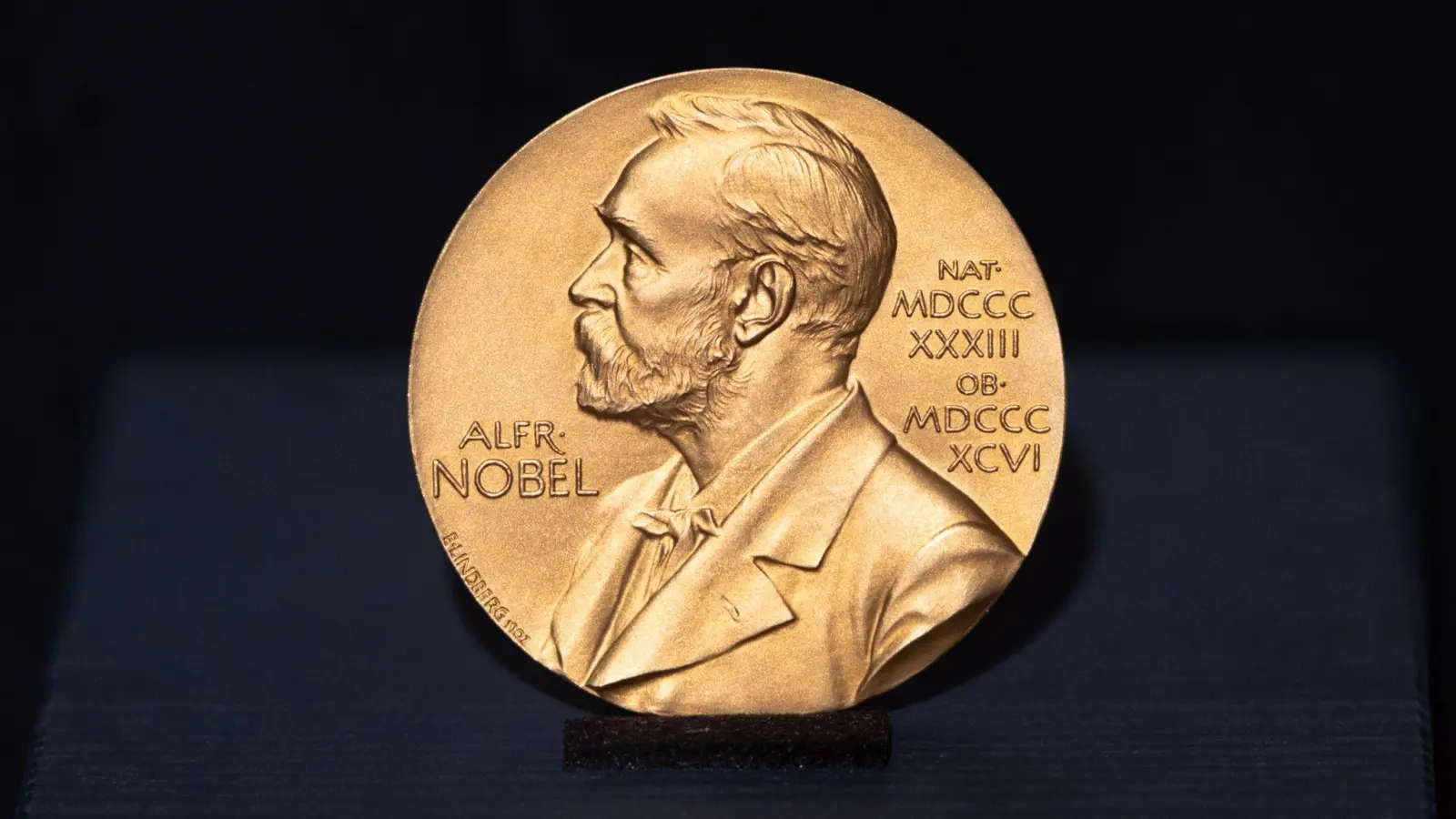 Der Literaturnobelpreis wird jedes Jahr in Stockholm vergeben. (Symbolbild) (Foto: Daniel Reinhardt/dpa)