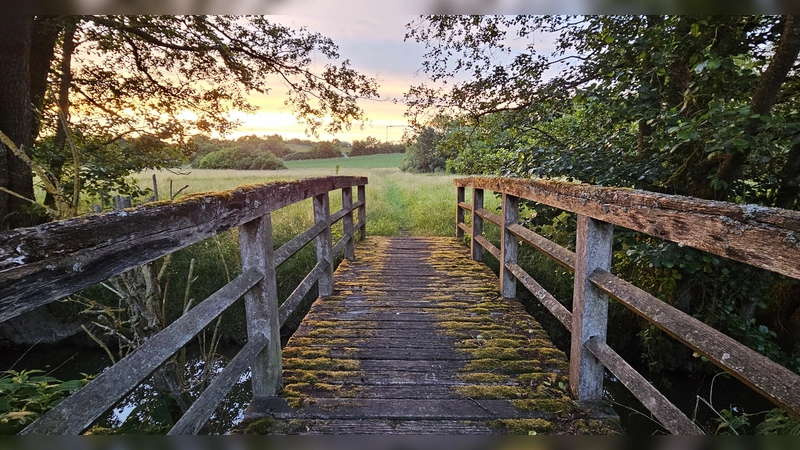Stark sanierungsbedürftig ist dieser Steg über den Krämleinsbach bei der Holzmühle. Die Stadt will ihn abreißen, weil er kaum genutzt werde. (Foto: Wolfgang Grebenhof)
