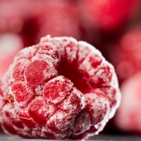 Himbeeren auf Vorrat: Obst lässt sich meist problemlos einfrieren – praktisch, wenn im August alles auf einmal reif wird. (Foto: Franziska Gabbert/dpa-tmn)