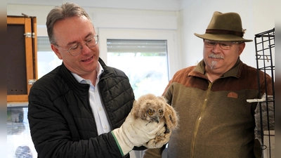 Herbert Lindörfer (links) und Andreas Ritz mit einem der Uhu-Babies, die derzeit in der Auffangstation aufgepäppelt werden. (Foto: Simone Hedler)