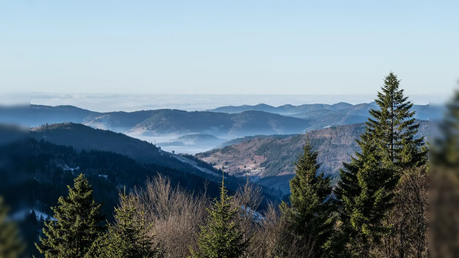 Zum Start in das letzte Wochenende des Jahres kommt etwas mildere Luft nach Deutschland  (Foto: Silas Stein/dpa)