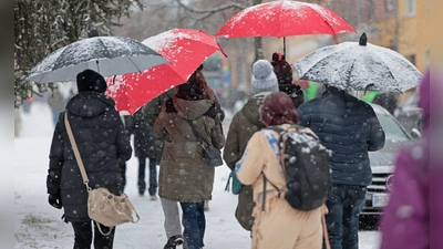 Winterwetter in Thale - Besucher gehen bei dem Faschingsumzug von dem Thalenser Carneval Club e.V. durch den Schnee.  (Foto: Matthias Bein/dpa)