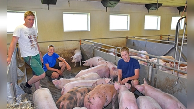 Tobias Niklas (links) und sein ältester Sohn Peter (rechts) führen den landwirtschaftlichen Betrieb gemeinsam. Auch der 15-jährige Simon (Mitte) will nach dem Schulabschluss Landwirt werden. (Foto: Silvia Schäfer)