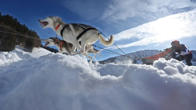 Teams aus etlichen Ländern in Europas gingen im bayerisch-österreichischen Grenzgebiet an den Start. (Foto: Karl-Josef Hildenbrand/dpa)