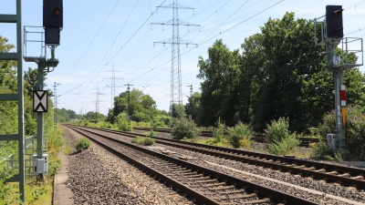 2023 hat die Bahn den Einsatz von Glyphosat eingestellt - und macht nun die Kehrtwende. (Archivbild) (Foto: Sascha Thelen/dpa)