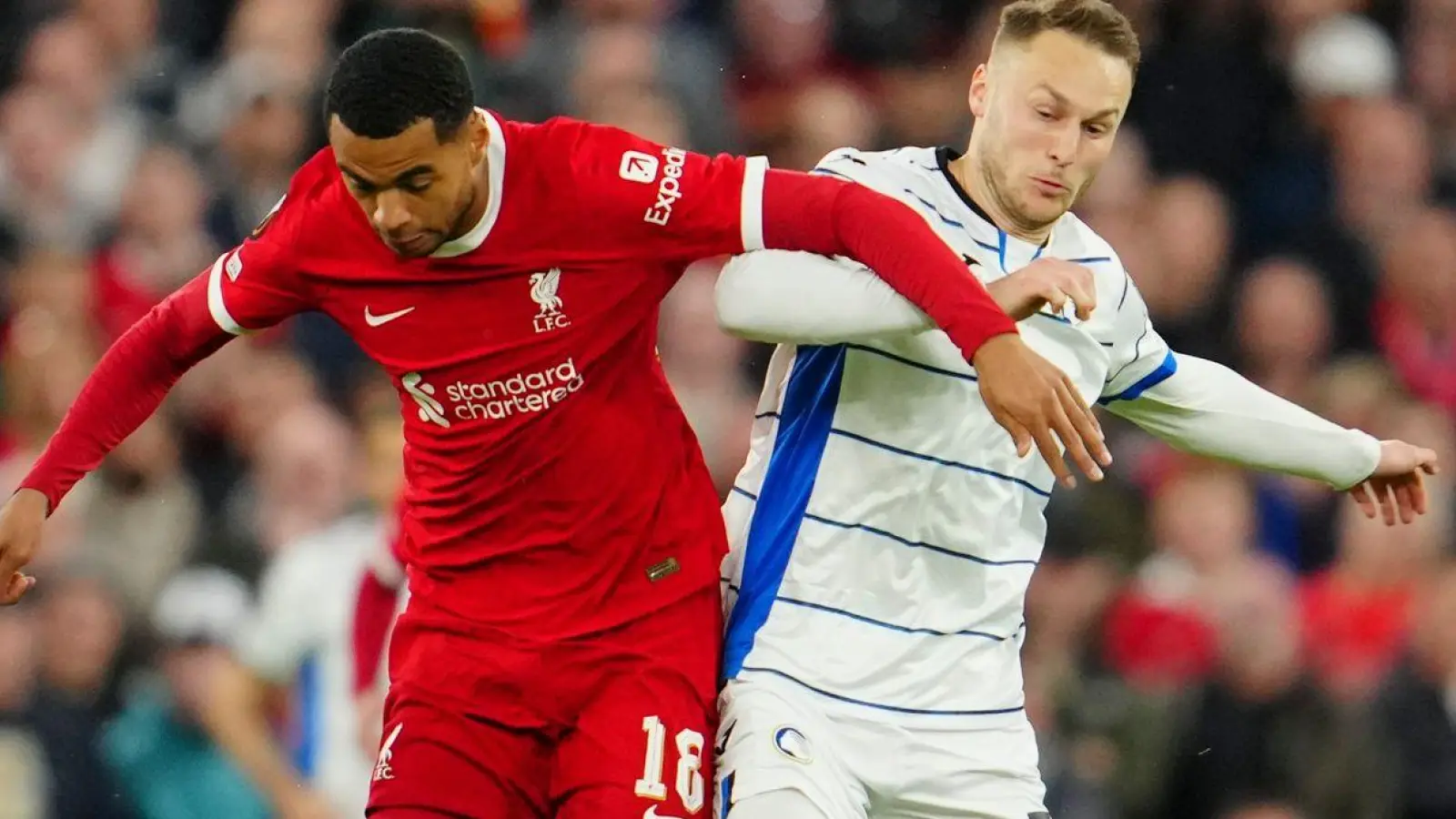 Cody Gakpo (l) und der FC Liverpool unterlagen Atalanta Bergamo überraschend deutlich mit 0:3. (Foto: Jon Super/AP/dpa)